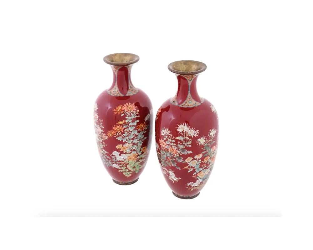Eternal Blooms: Meiji Period Japanese Cloisonné Red Vases Adorned with Multi-Colored Spider Mums

A pair of rare large high quality antique Japanese Meiji Era enamel over brass vases. The vases of amphora form with elegant narrow necks slightly