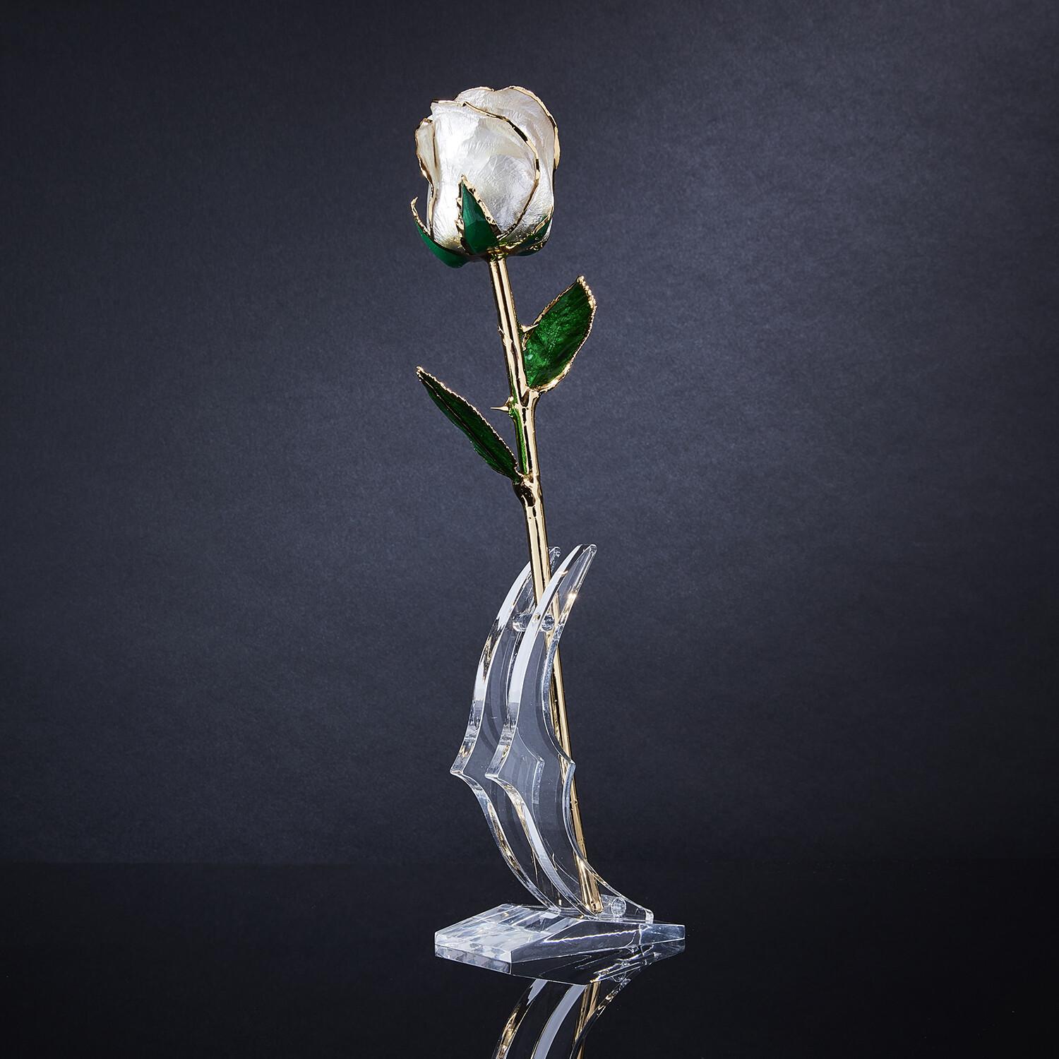 Eternal Rose Angel Dust, Weiß, Real Rose in 24k Gold mit LED-Vitrine im Zustand „Neu“ im Angebot in Belmont, MA