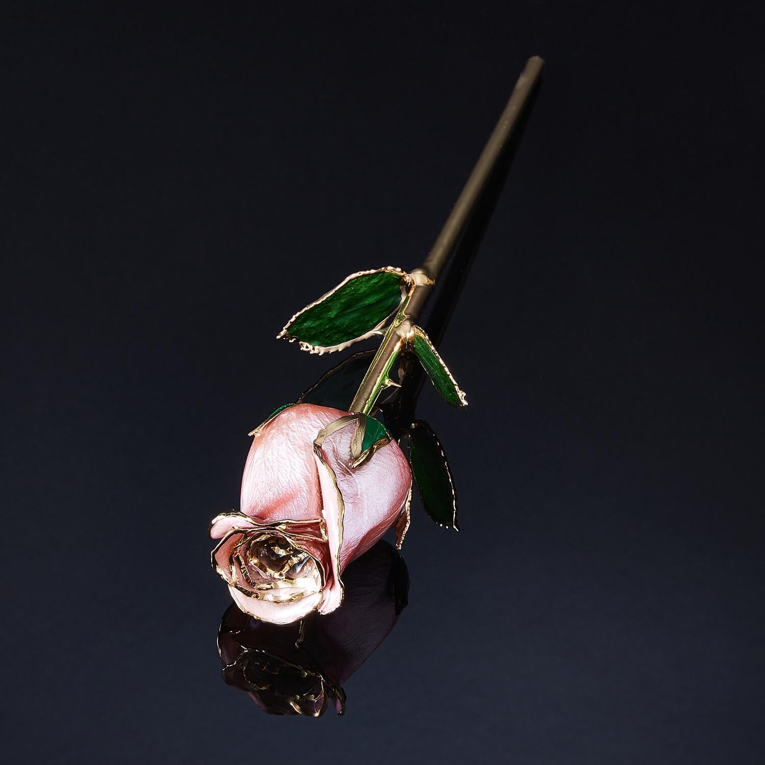 Eternal Rose Champagner Pop, Perle Rosa, Real Rose in 24k Gold mit LED Display im Angebot 2