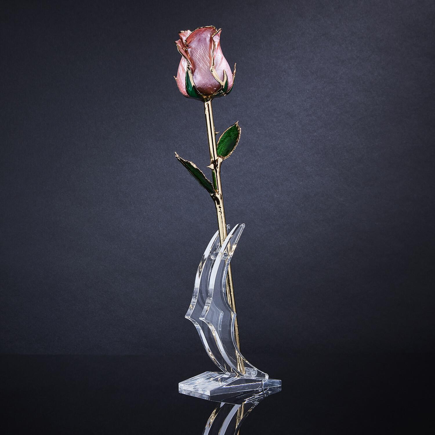 Eternal Rose Champagner Pop, Perle Rosa, Real Rose in 24k Gold mit LED Display im Angebot 3