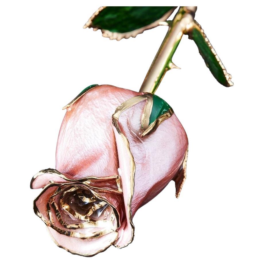 Éternel pop champagne rose, perle rose, véritable rose en or 24 carats avec écran LED