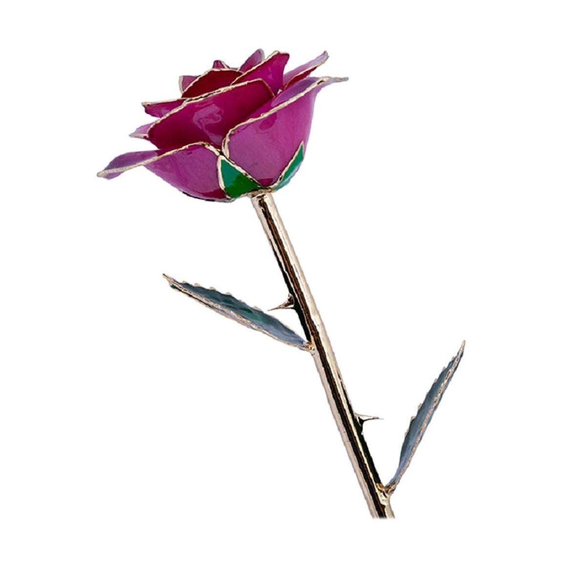 Eternal Rose Fuchsia Bloom, Lila, Real Rose in 24k Gold mit LED Display
