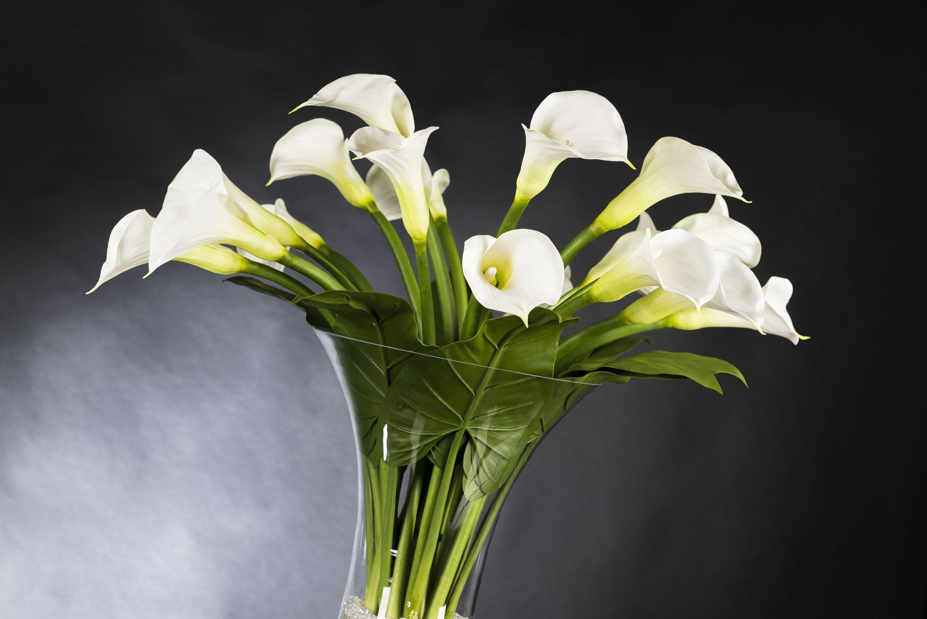 Modern Eternity Bowl Calla Set Arrangement, Flowers, Italy For Sale