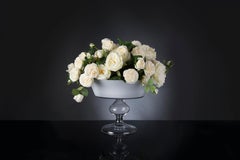 Ensemble de roses Camilla Roses, fleurs, Italie