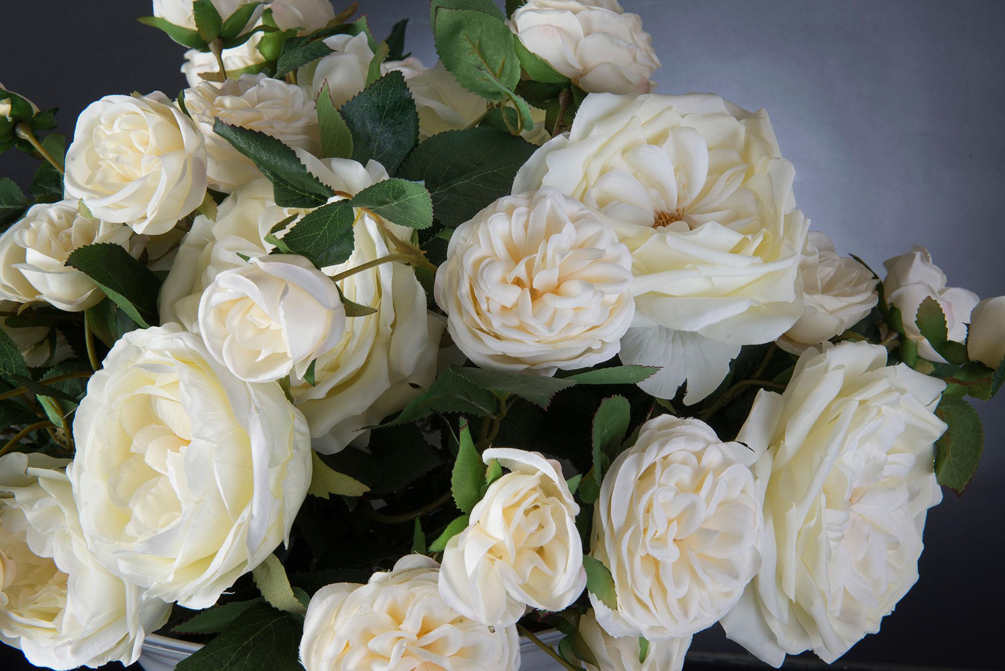 Modern Eternity Camilla Roses Set Arrangement, Flowers, Italy For Sale