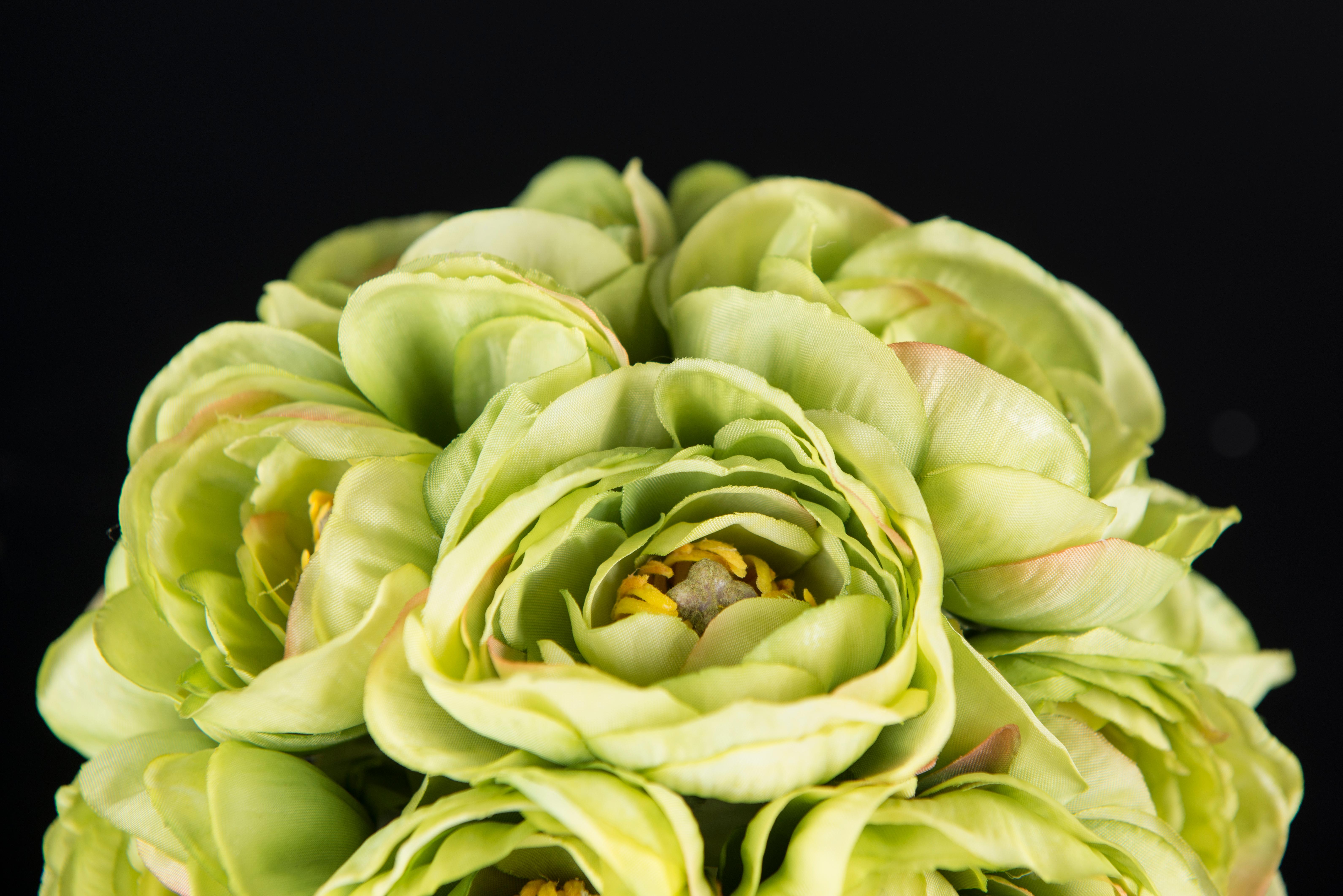 Eternity Minimes Ranunculus Bouquet Set Arrangement, Flowers, Italy For Sale 6