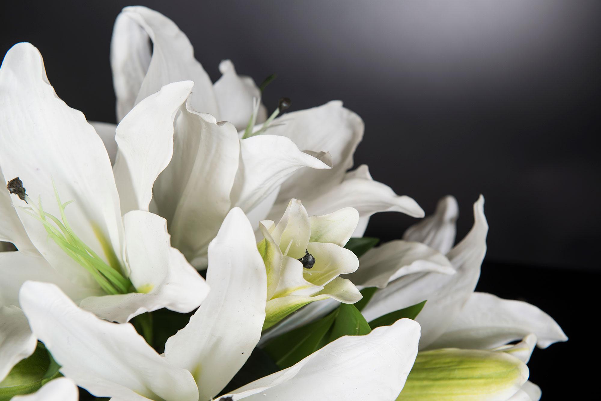 Modern Eternity Round Lilium Set Arrangement, Flowers, Italy For Sale