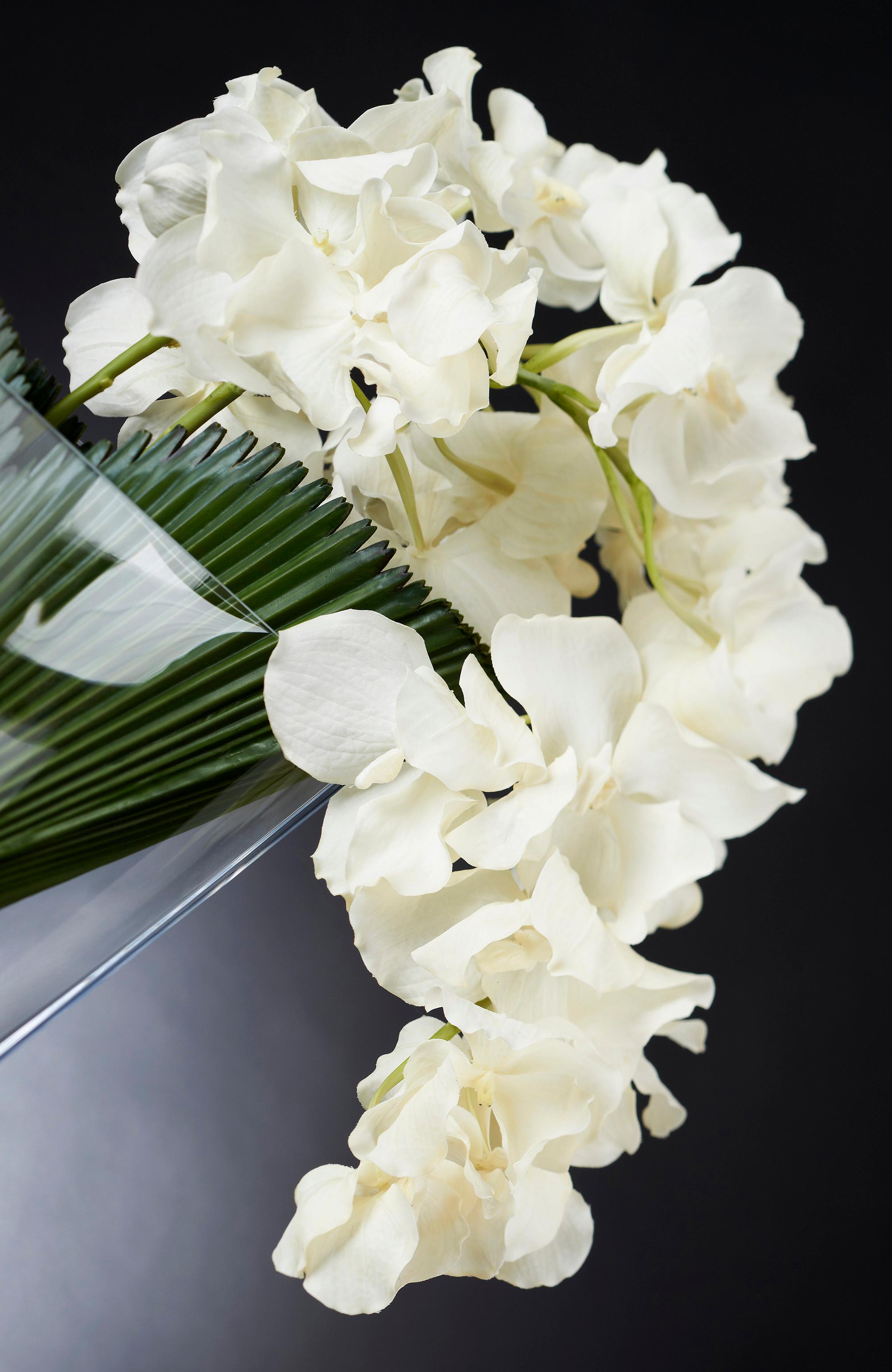 Hand-Crafted Eternity Vanda Cascade Set Arrangement, Flowers, Italy For Sale