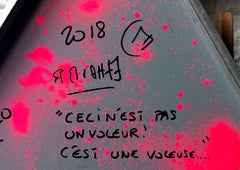 ESTO NO ES UN LADRÓN ¡ESTO ES UN LADRÓN!