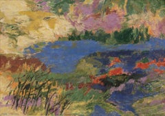 Used Quiet Water (Landscape with Pond)