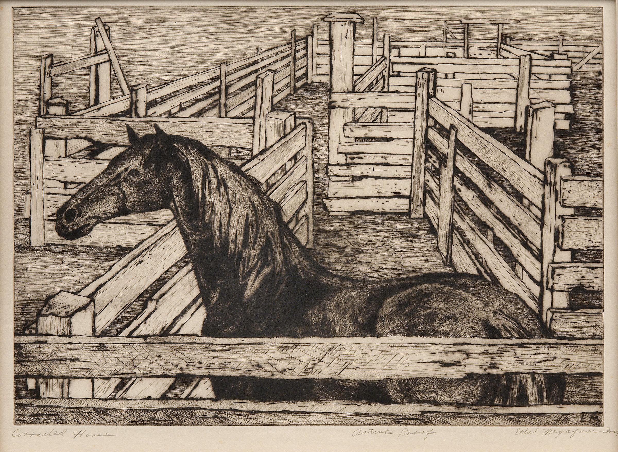 Corralled Horse (Artists Proof), 1940er Jahre Gerahmte amerikanische modernistische Pferde-Radierung – Print von Ethel Magafan