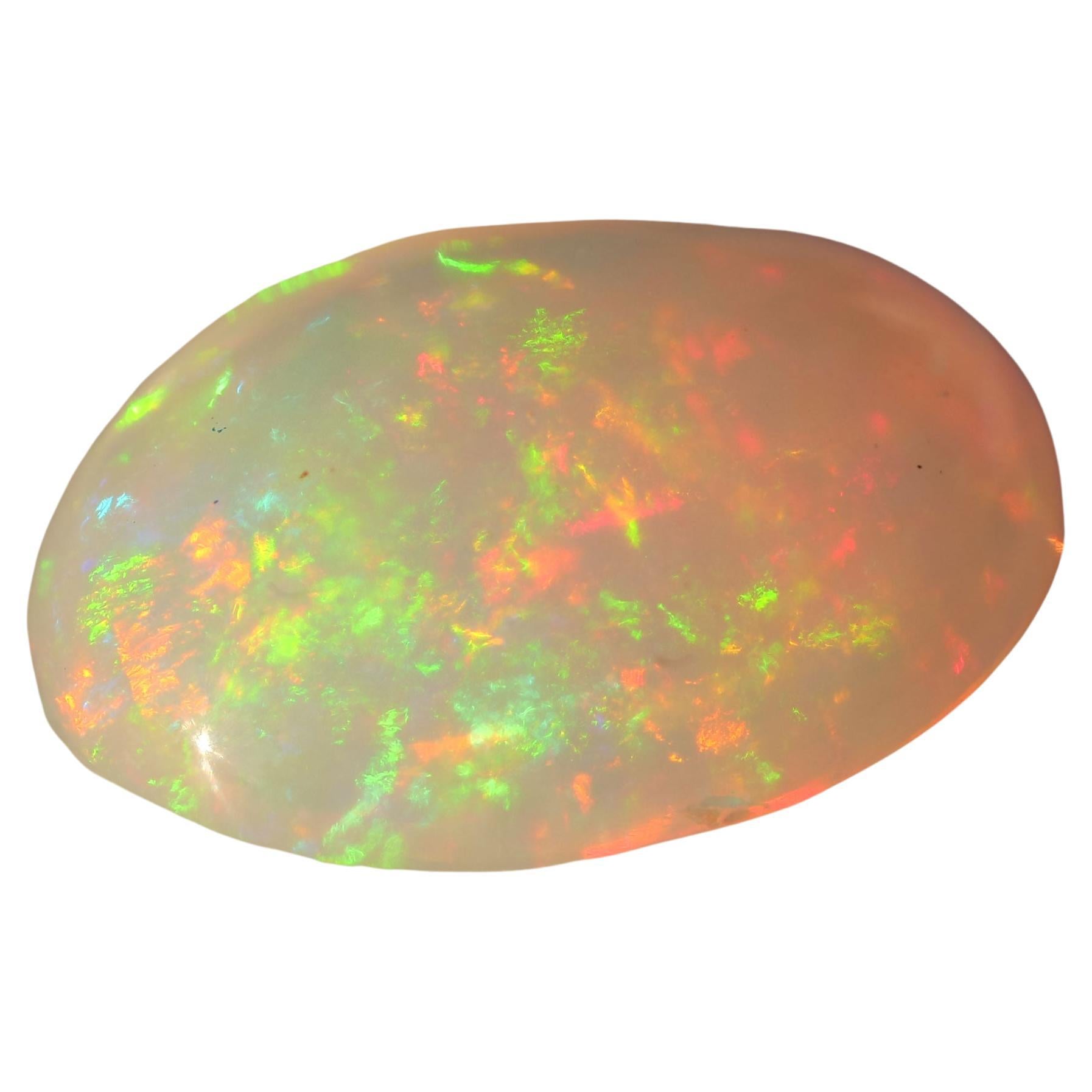 Äthiopischer Opal, Paar 5 ct 12 mm x 10 mm AAA+ Großer Feuer-Ohrring