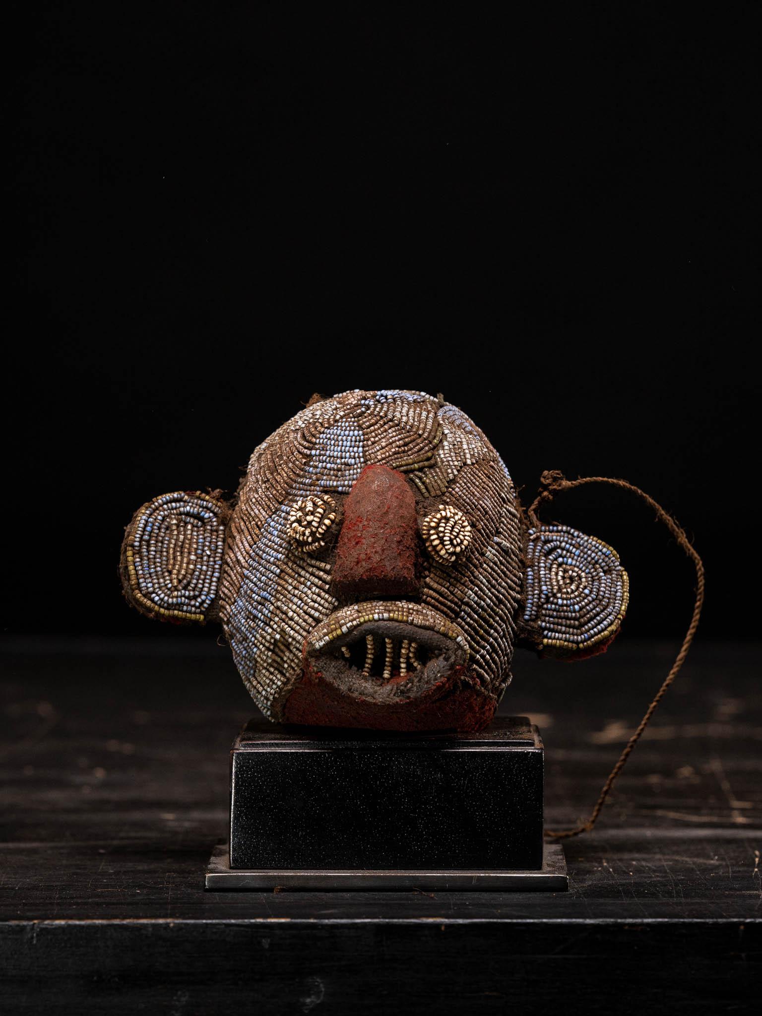 Ethnic Design-Collection of 22 Ceremonial Heads from the Grasslands in Cameroon. For Sale 4