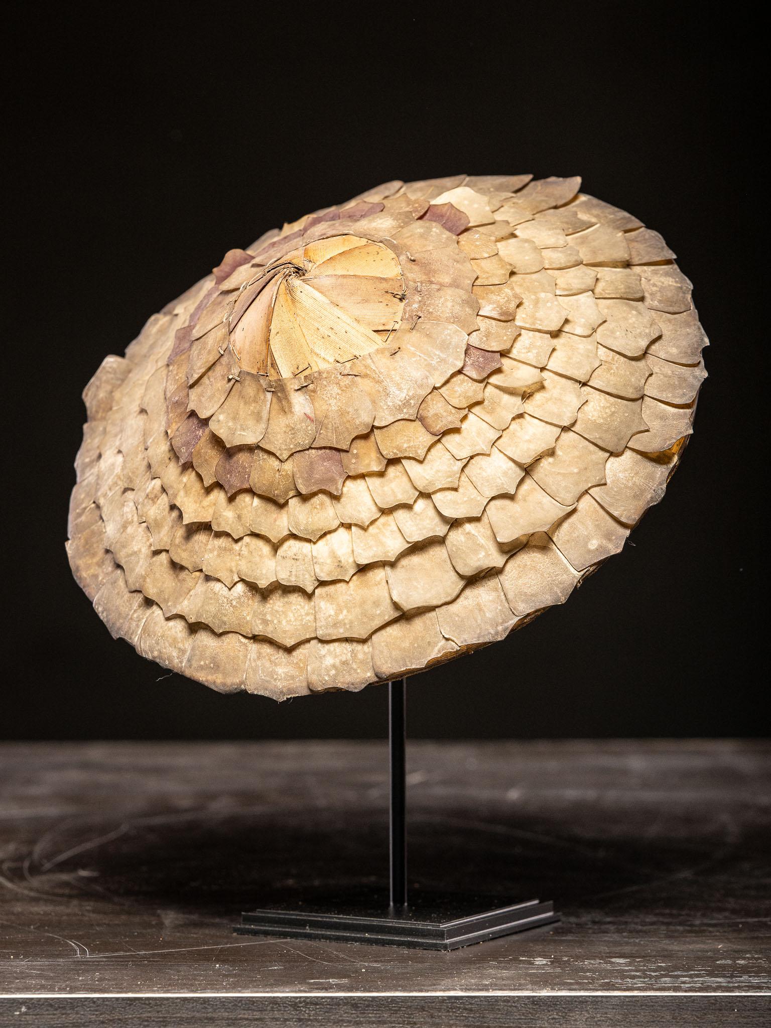 Ethnographic Fish Scale Hat Handmade Molucca, Indonesia. For Sale 2