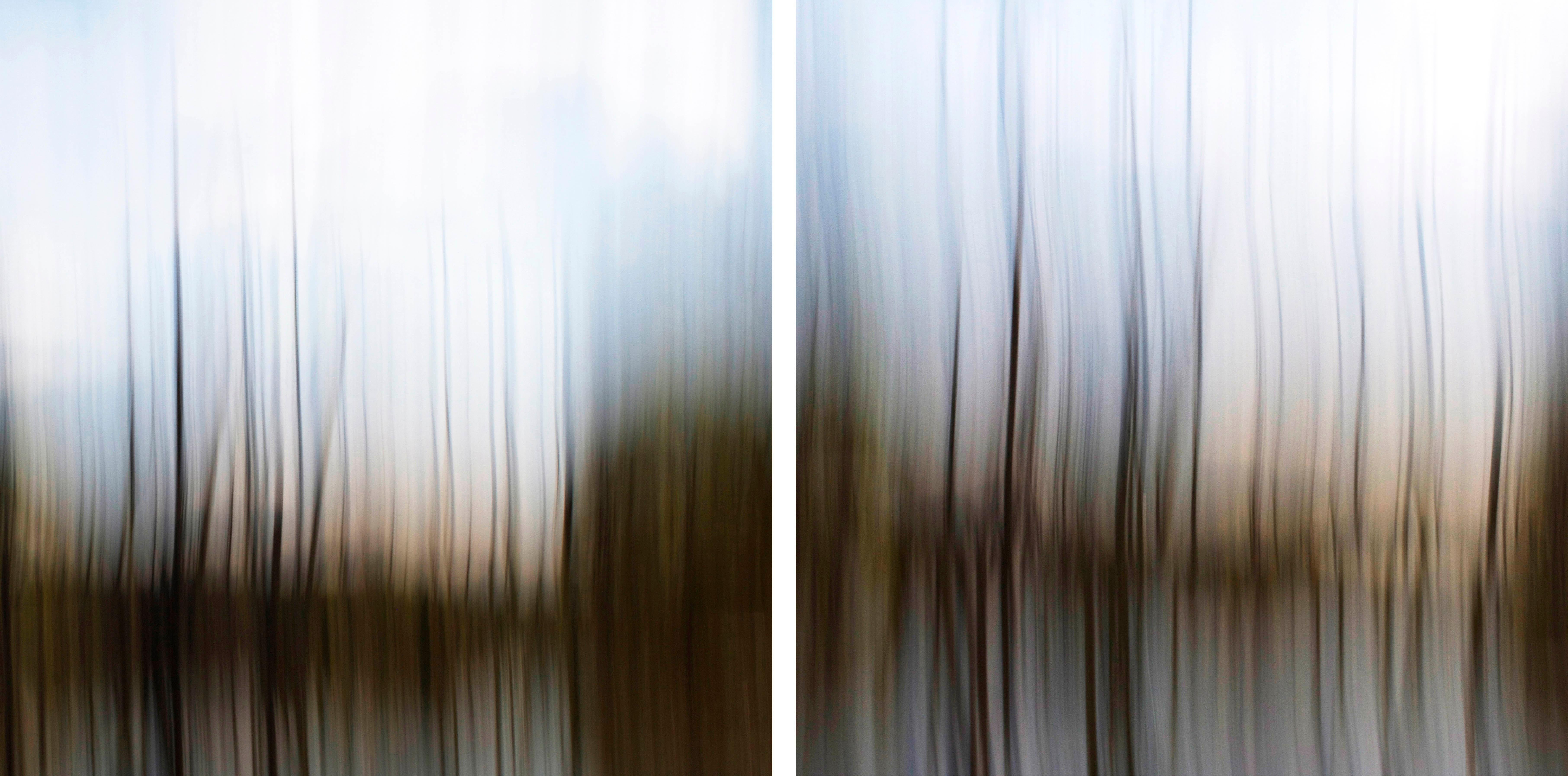 Etienne Labbe Abstract Photograph - Through The Wetlands - contemporary, abstracted landscape, photography on dibond