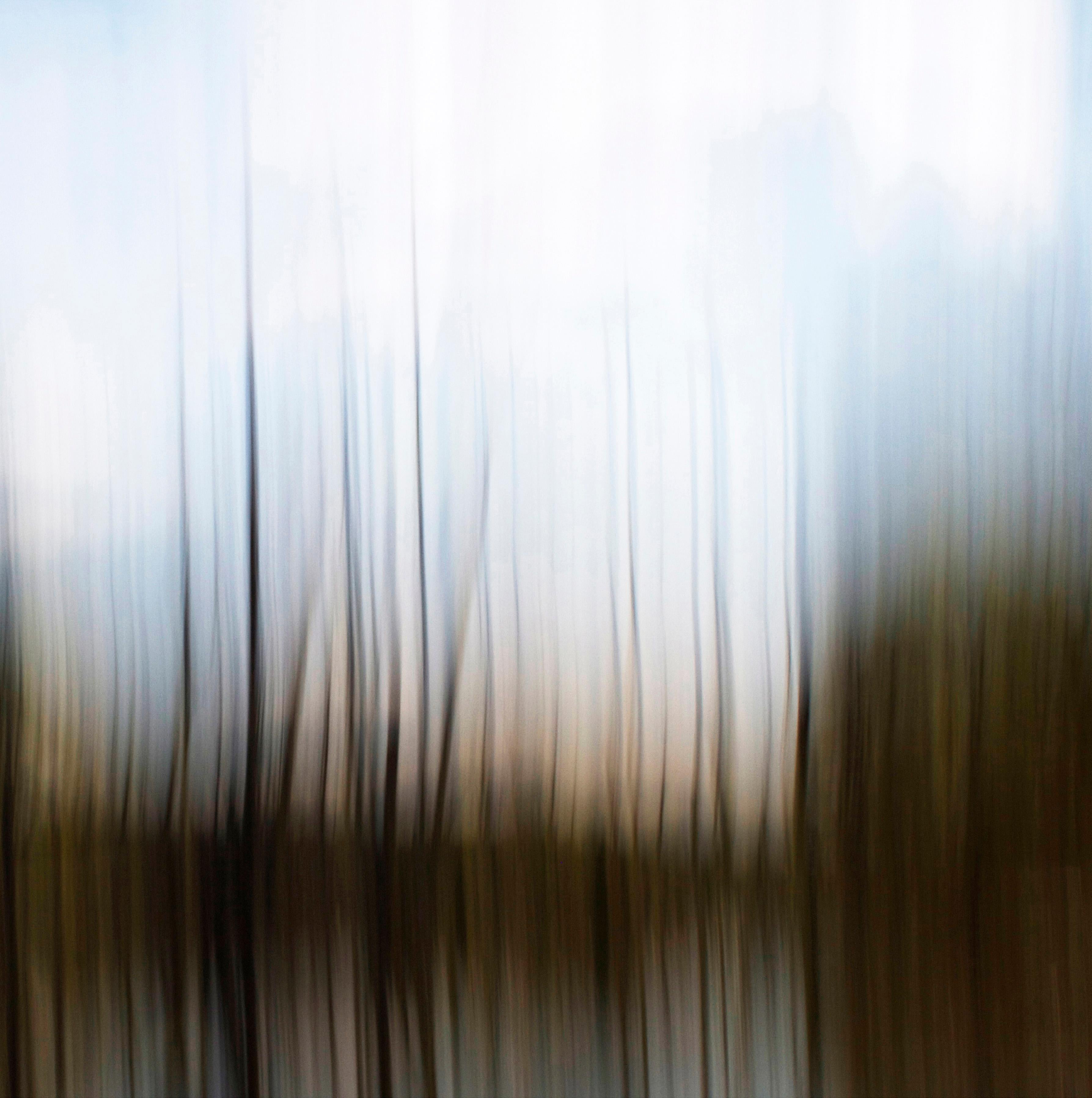 Through The Wetlands - contemporary, abstracted landscape, photography on dibond - Photograph by Etienne Labbe
