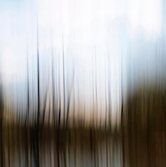 Through The Wetlands - paesaggio contemporaneo e astratto, fotografia su dibond