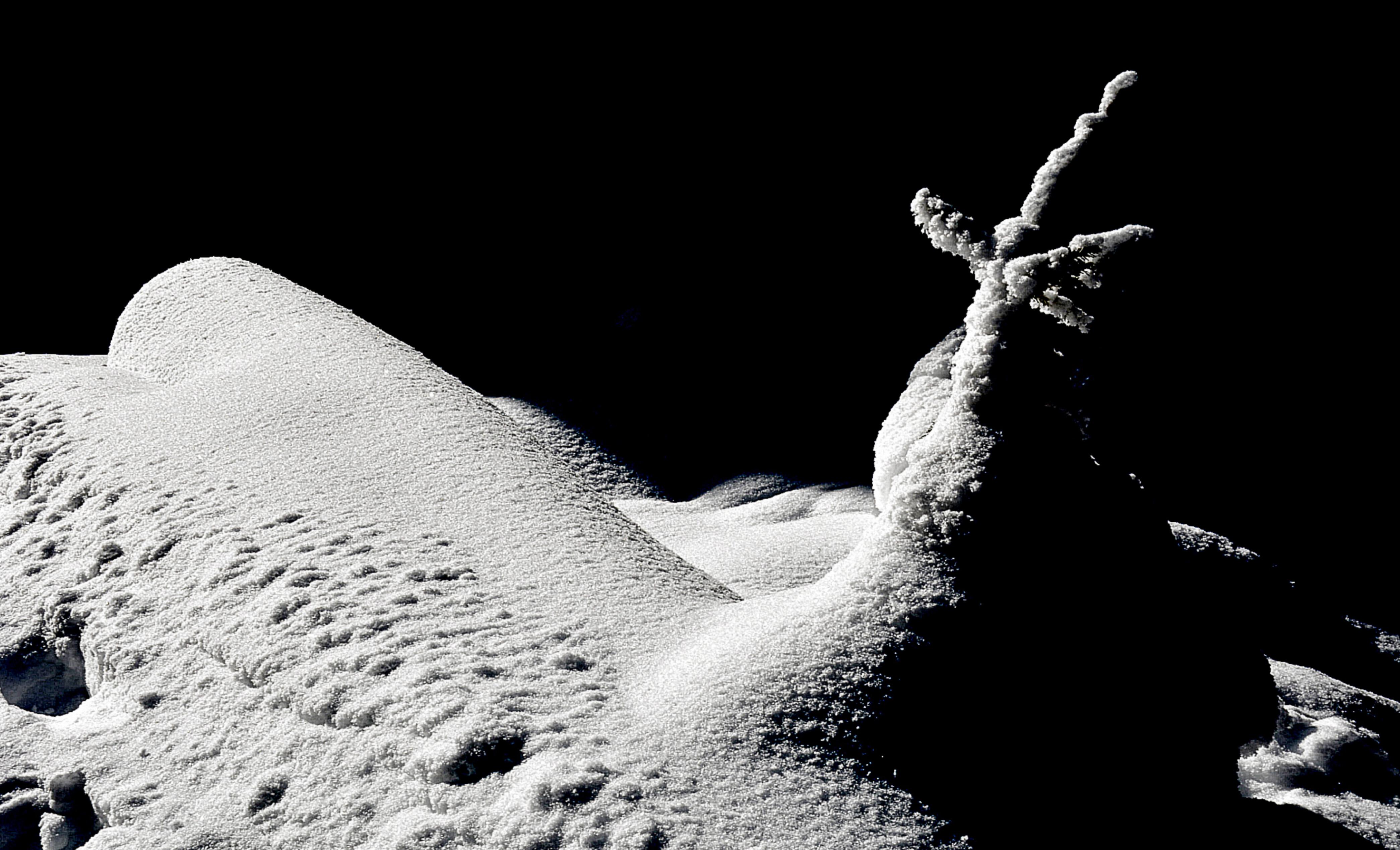 Etienne Vacher Landscape Photograph - Hidden Under the Snow