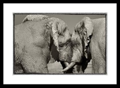 Éléphants d'Etosha:: photographie en noir et blanc:: impression d'art par Rainer Martini