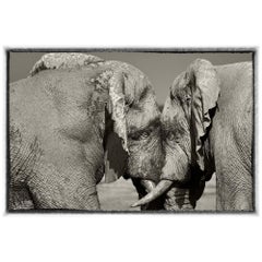 Éléphants d'Etosha:: photographie en noir et blanc:: impression d'art par Rainer Martini
