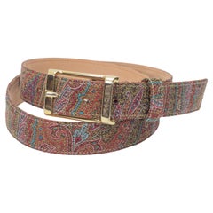 Cinturón ETRO en Lienzo Jacquard Paisley Icónico Multicolor con Hebilla Dorada