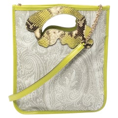 Etro Green/Grey Paisley Coated Canvas Crossbody Bag