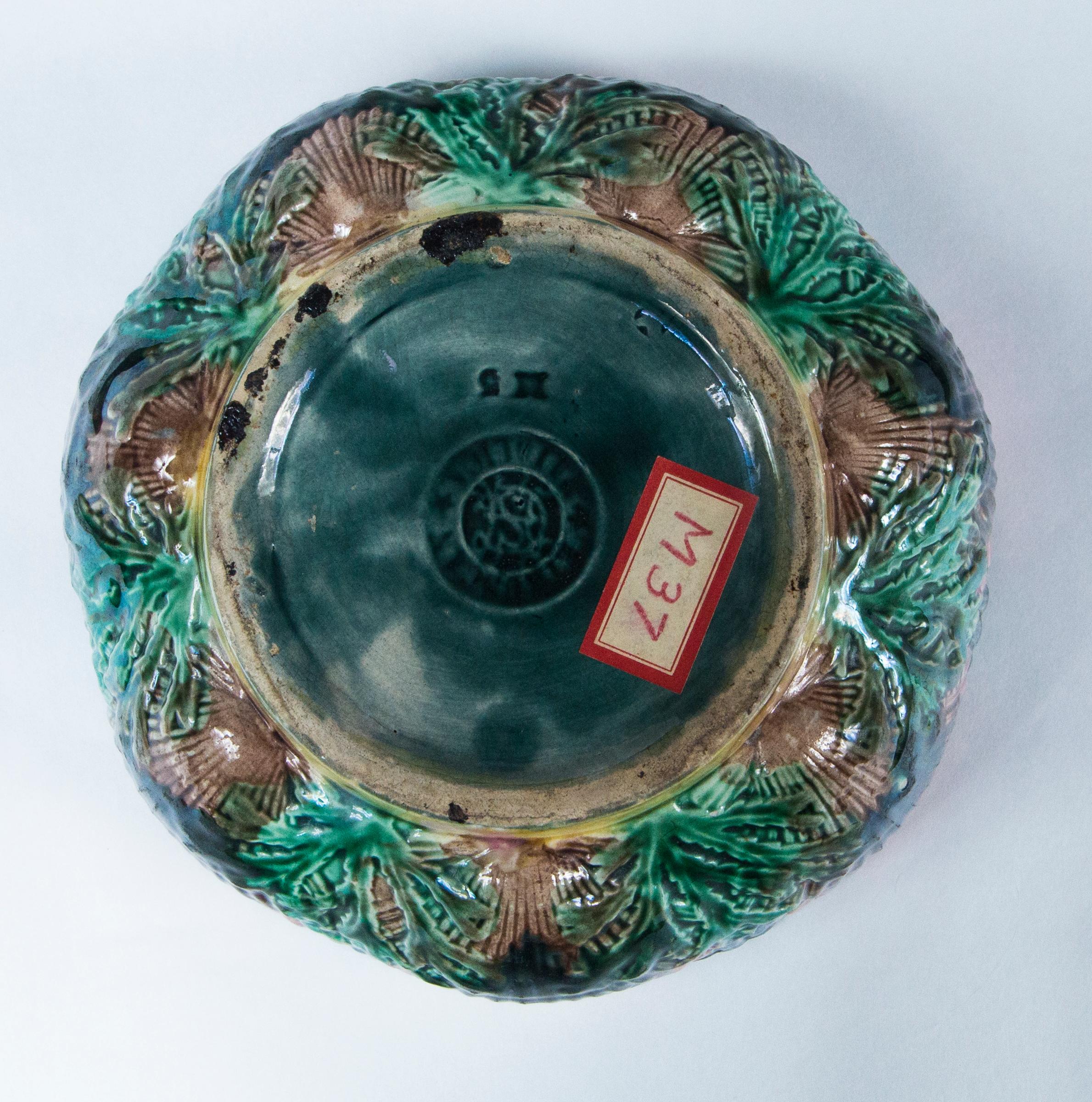 Etruscan Shell and Seaweed Majolica Bowl, Late 19th Century 3