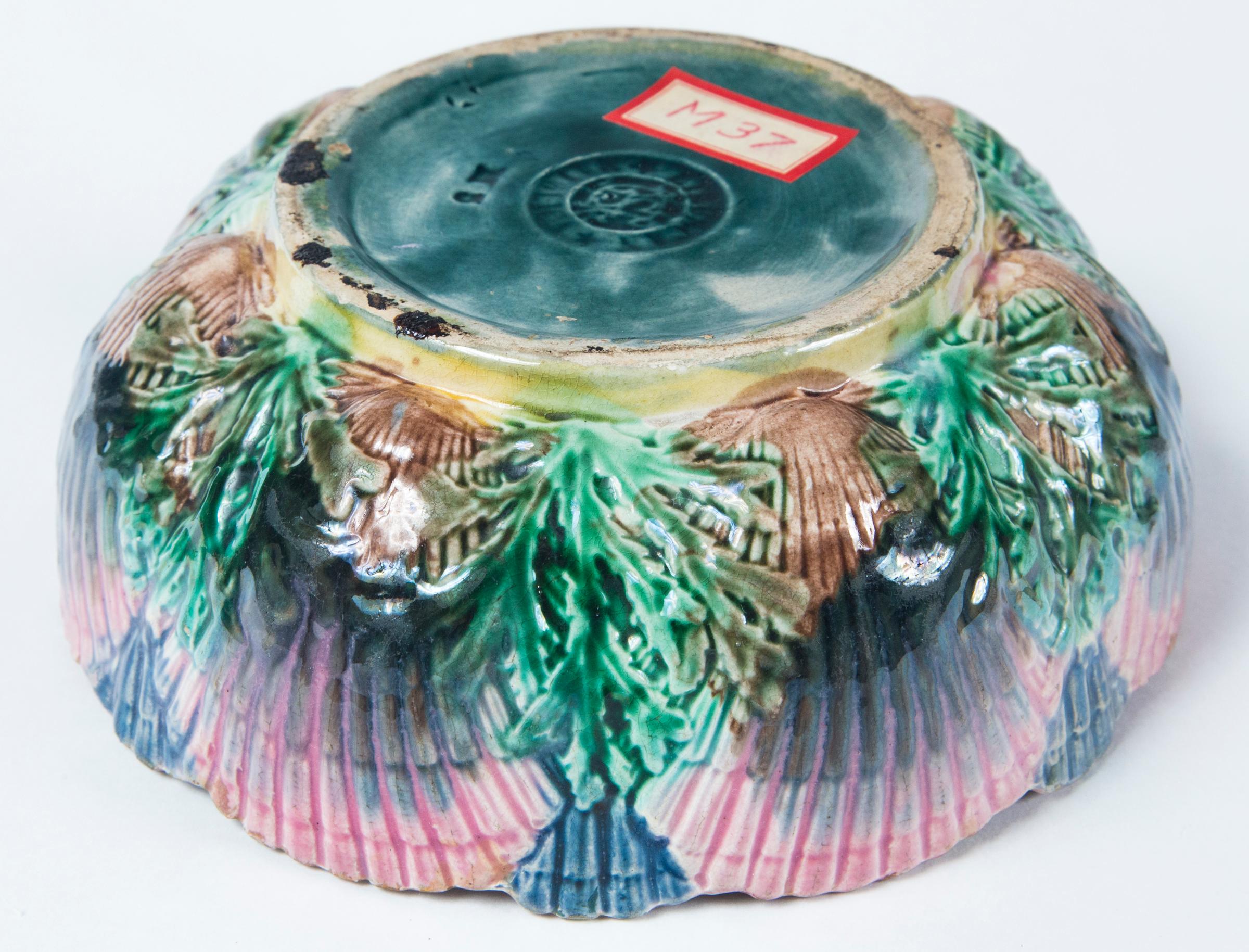 Etruscan Shell and Seaweed Majolica Bowl, Late 19th Century 5