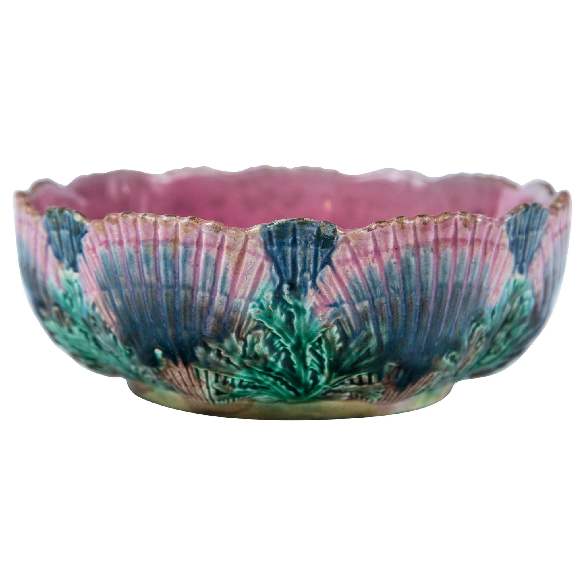 Etruscan Shell and Seaweed Majolica Bowl, Late 19th Century