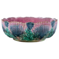Antique Etruscan Shell and Seaweed Majolica Bowl, Late 19th Century