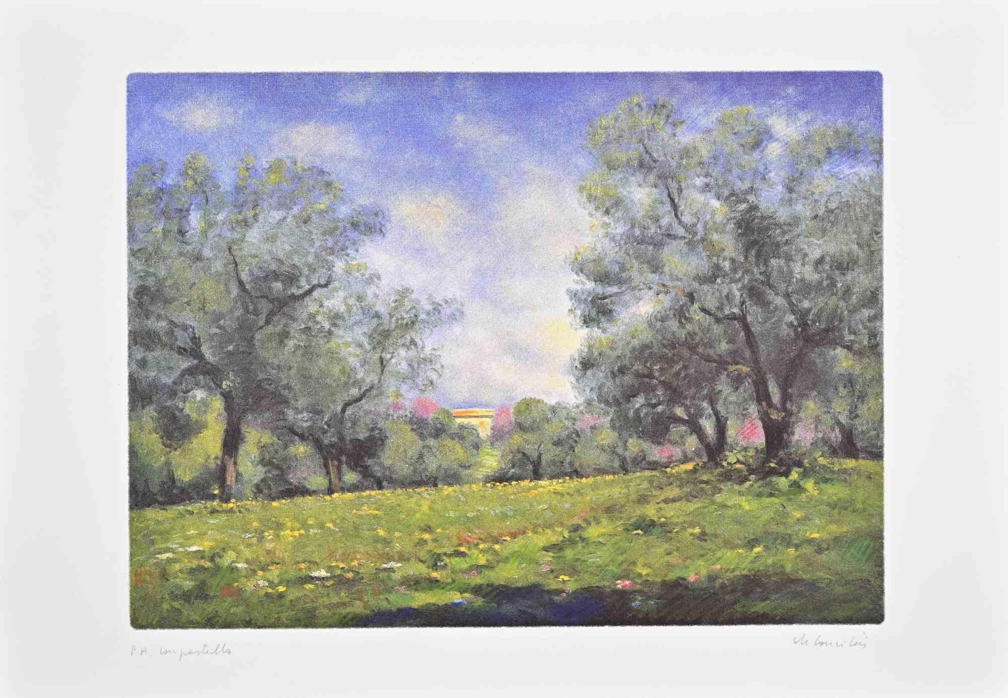 Landscape - Etching by Ettore De Concillis - 1990s