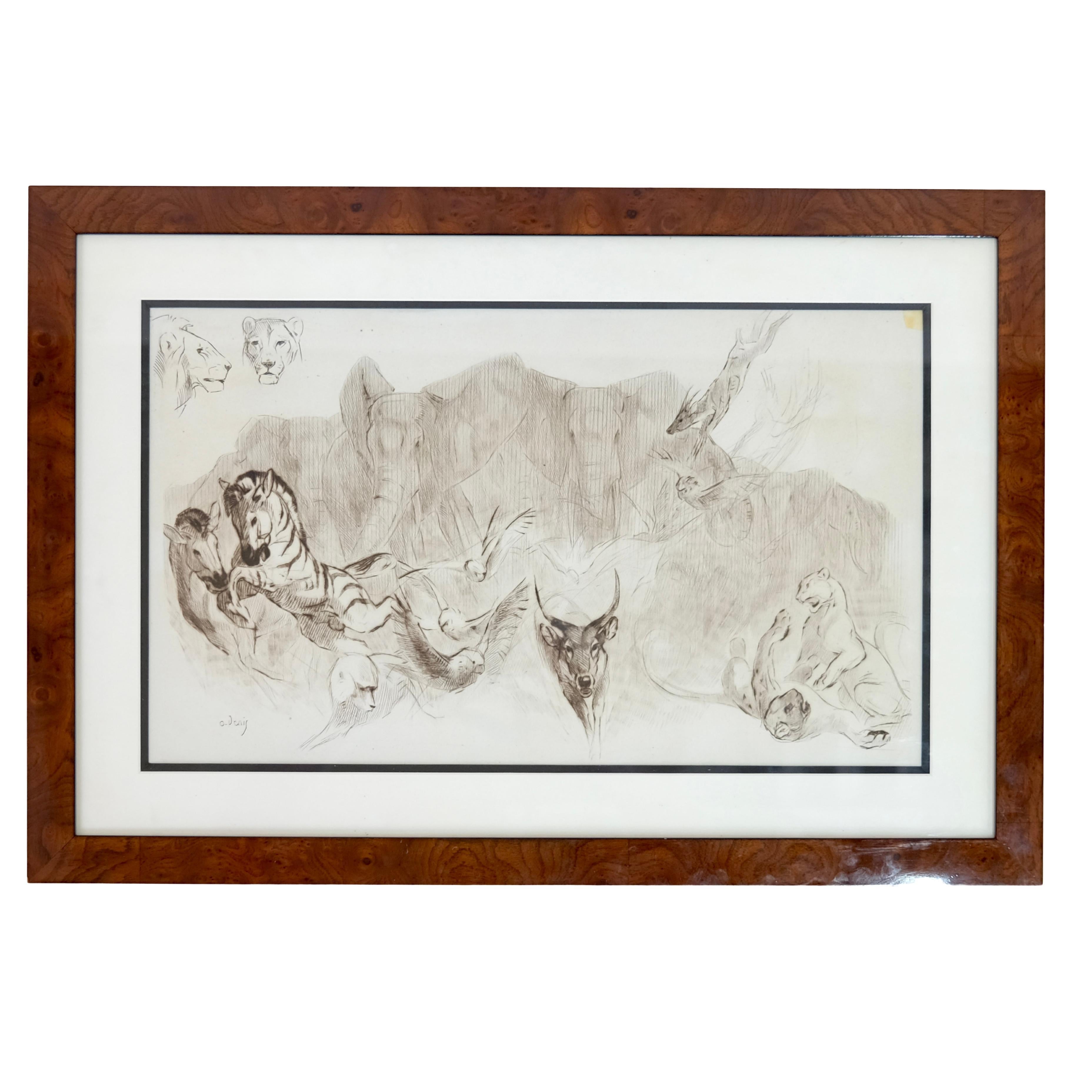 Etudes d'Animaux Sauvages, Etching and Drypoint by Odette Denis For Sale