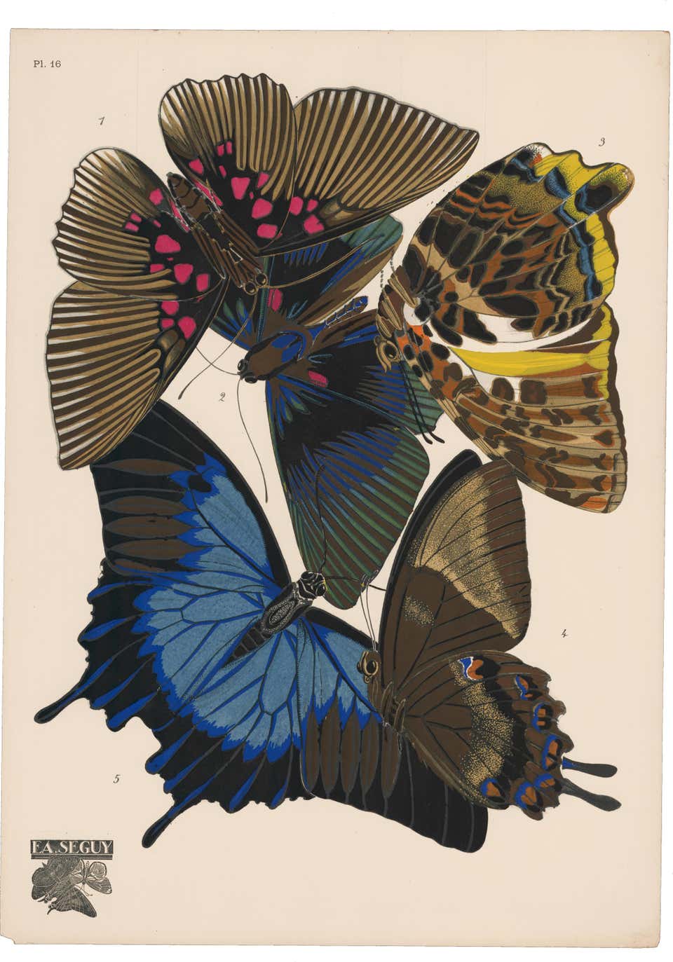 Seguy Pattern Eugene Alain Seguy - Butterfly Pochoir Print at 1stDibs