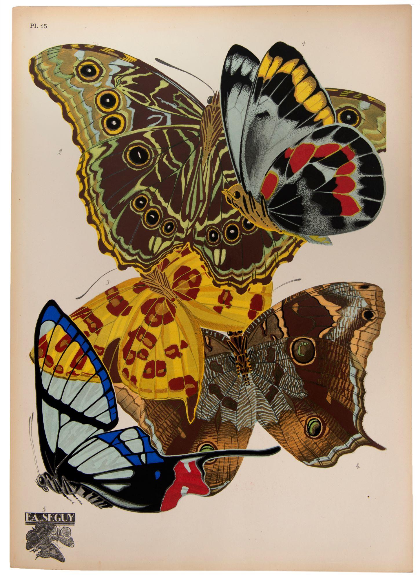 Papillons  - Print de SEGUY, E[ugene] A[lain].