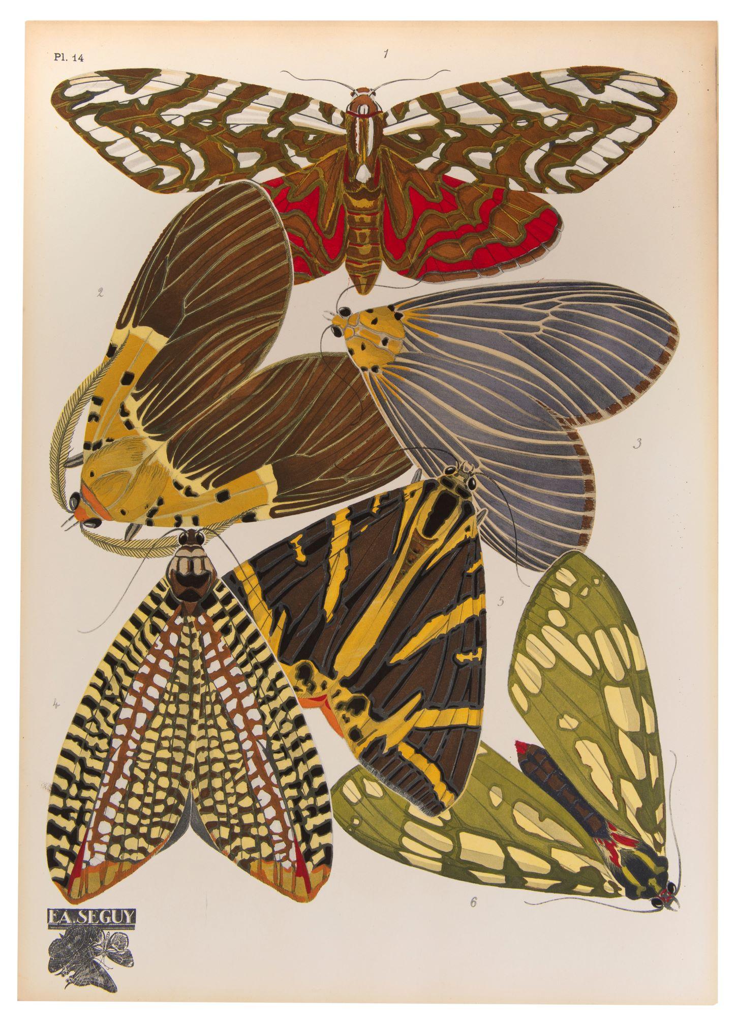Papillons - Print by SEGUY, E[ugene] A[lain].