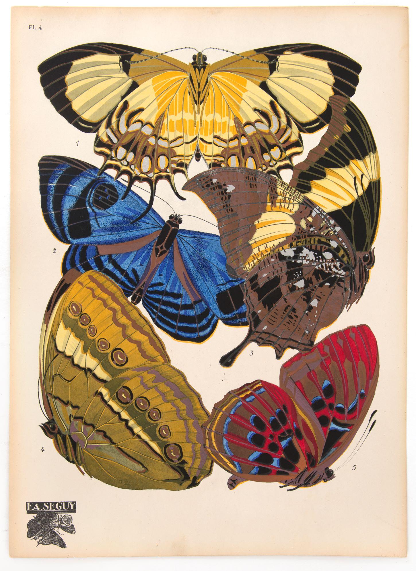 Papillons - Print by SEGUY, E[ugene] A[lain].