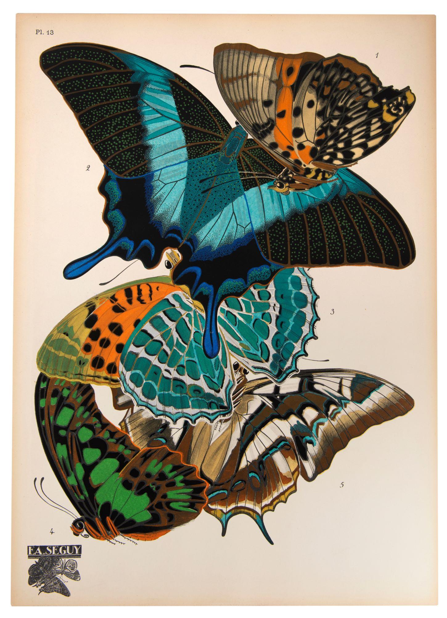 Papillons  - Print by SEGUY, E[ugene] A[lain].