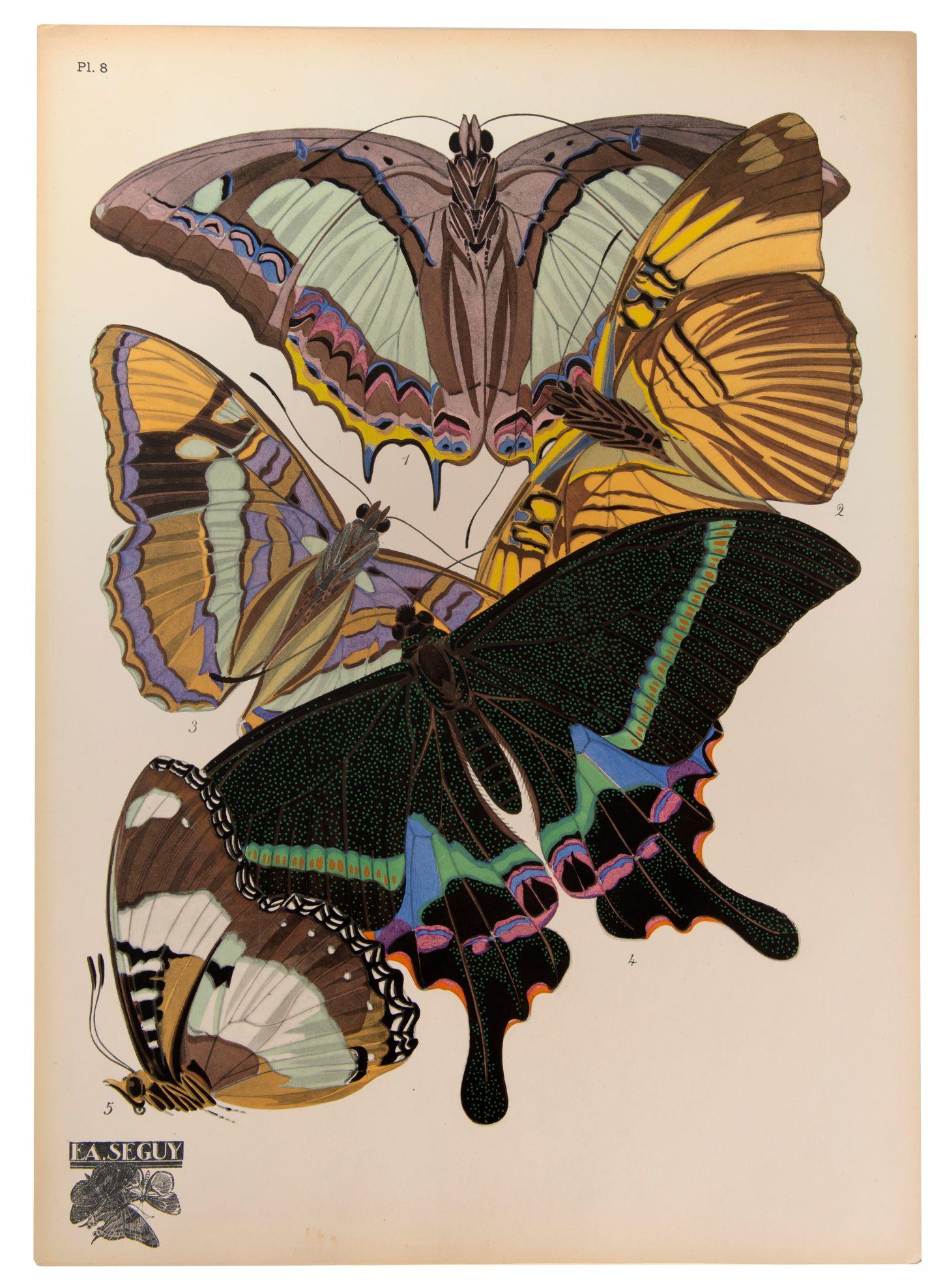 Papillons  – Print von SEGUY, E[ugene] A[lain].