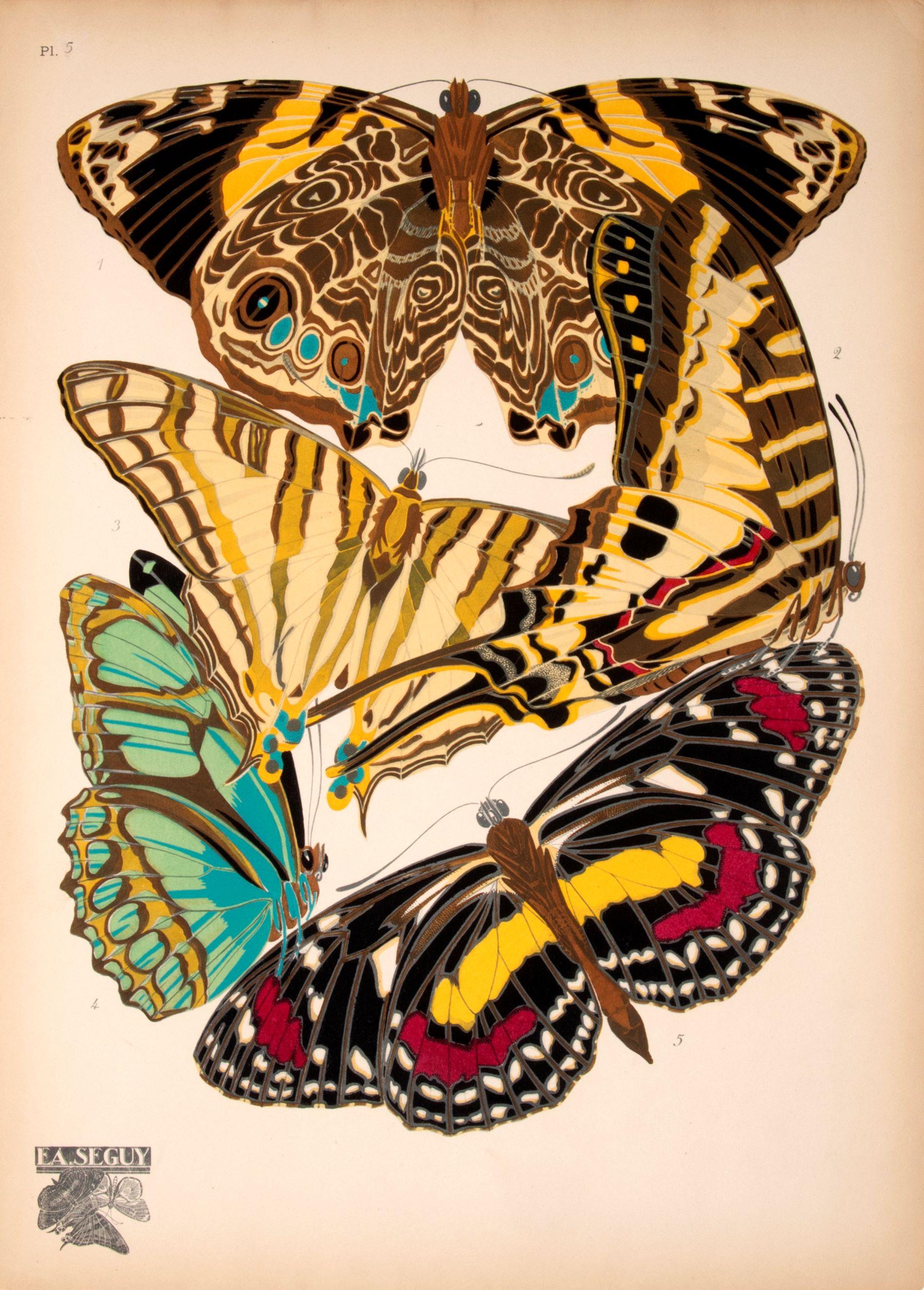 Papillons - Print by SEGUY, E[ugene] A[lain].