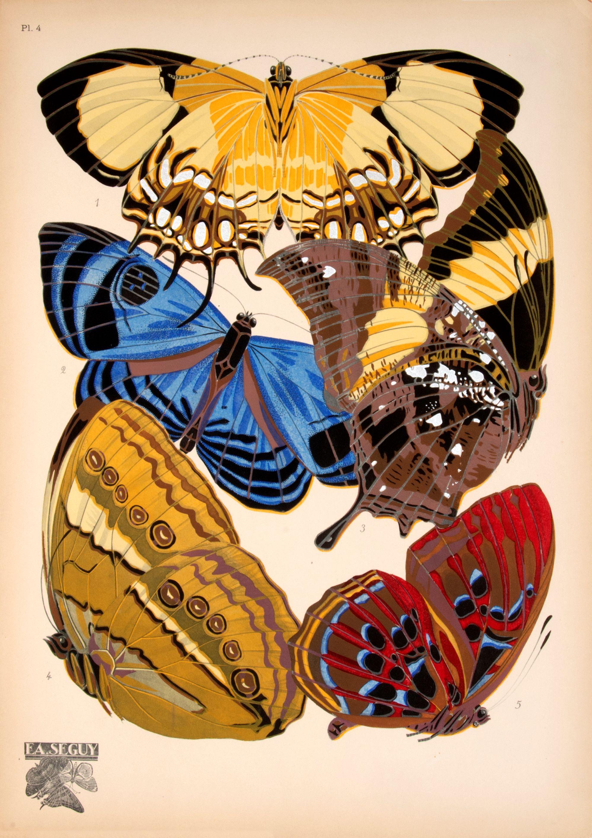Papillons - Print by SEGUY, E[ugene] A[lain].