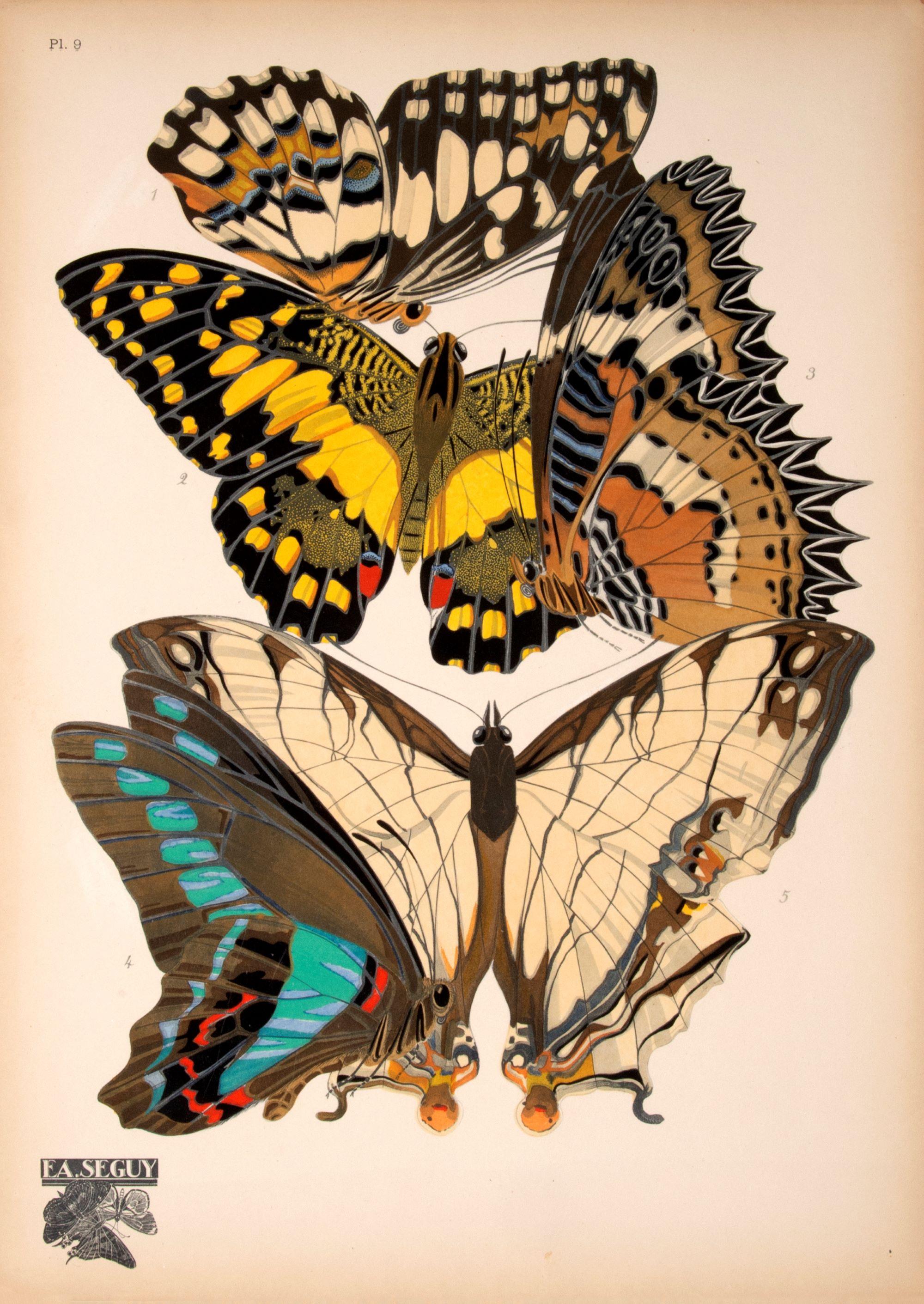 Papillons - Print by SEGUY, E[ugene] A[lain].