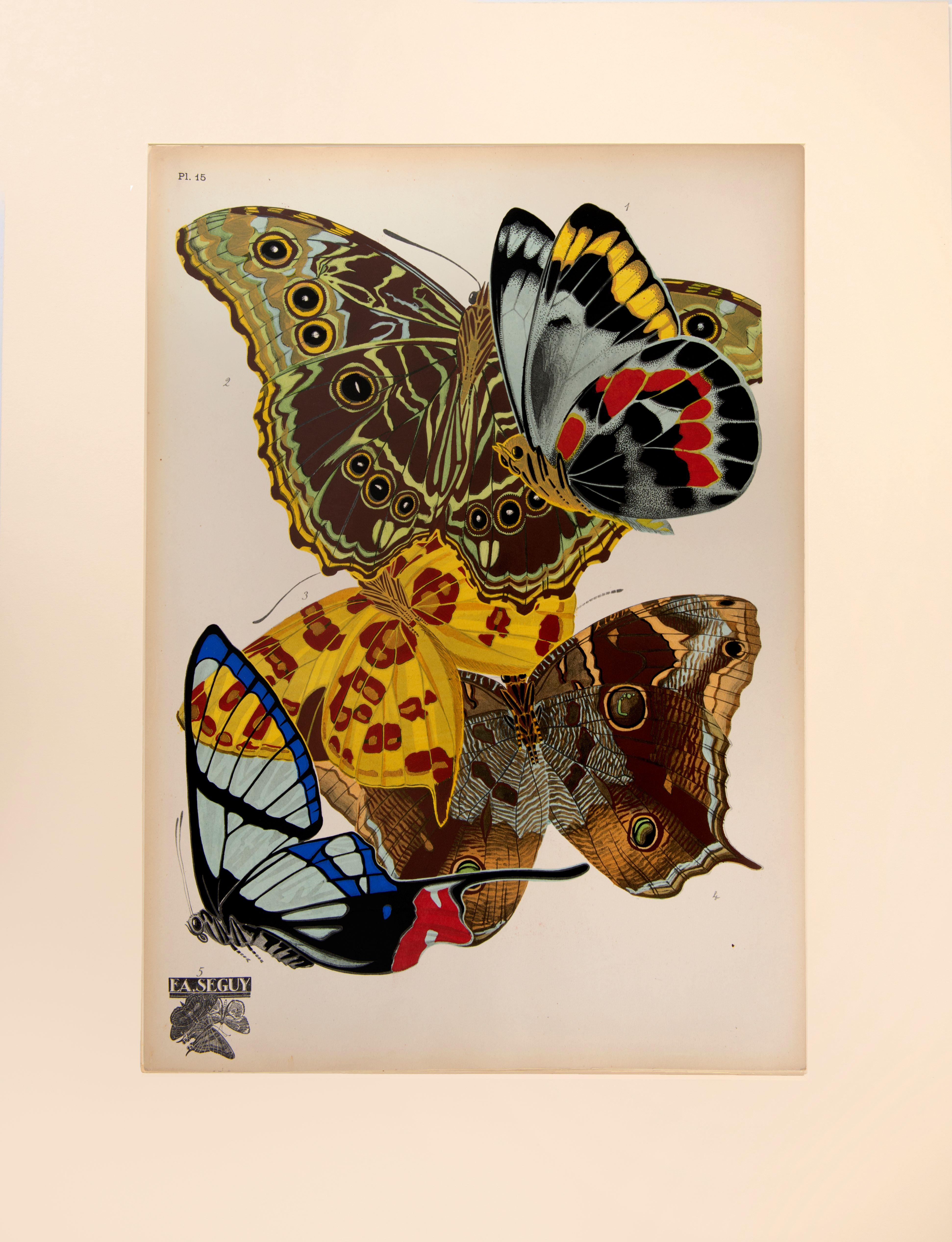 SEGUY, E[ugene] A[lain]. Animal Print – Papillons 