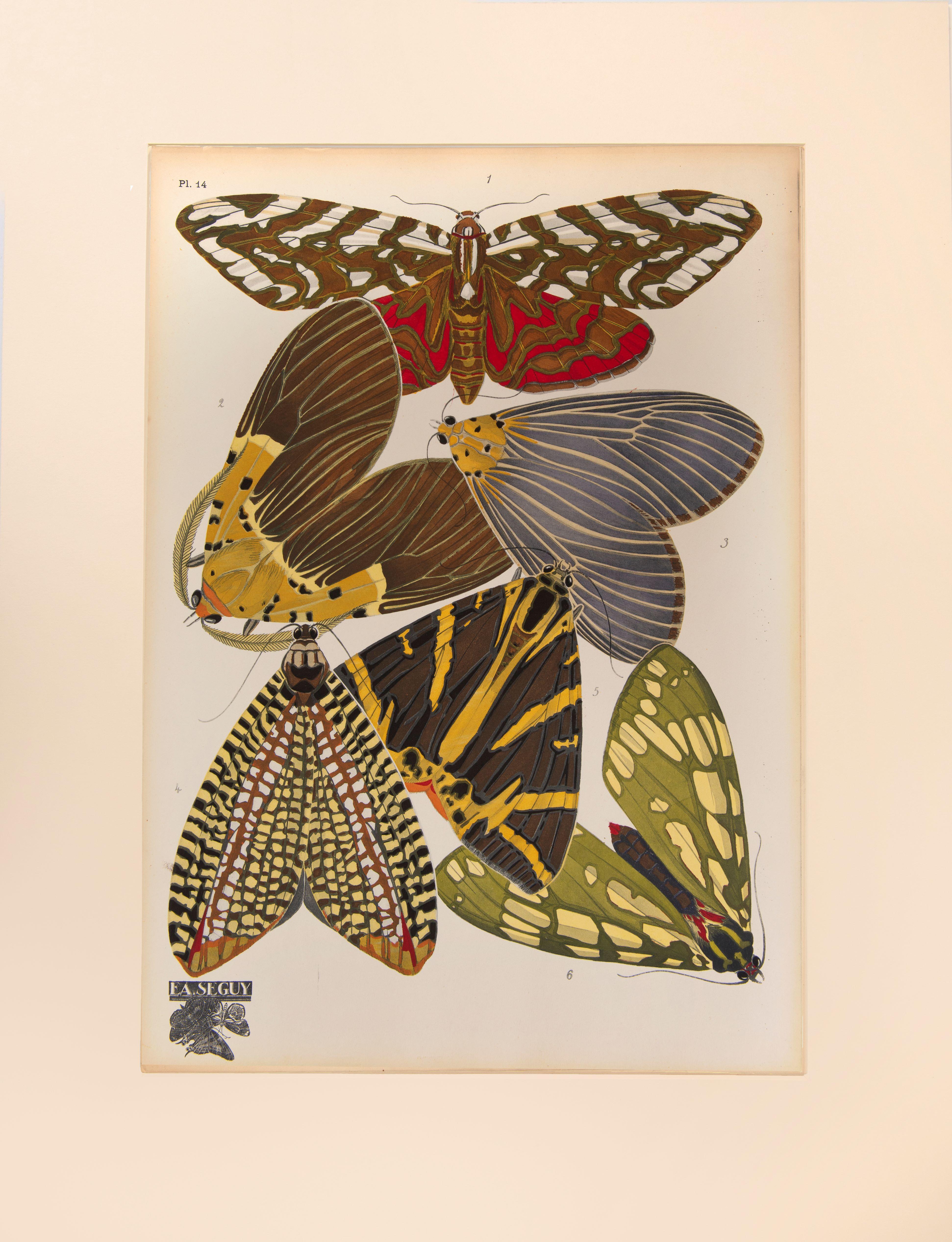 SEGUY, E[ugene] A[lain]. Animal Print – Papillons