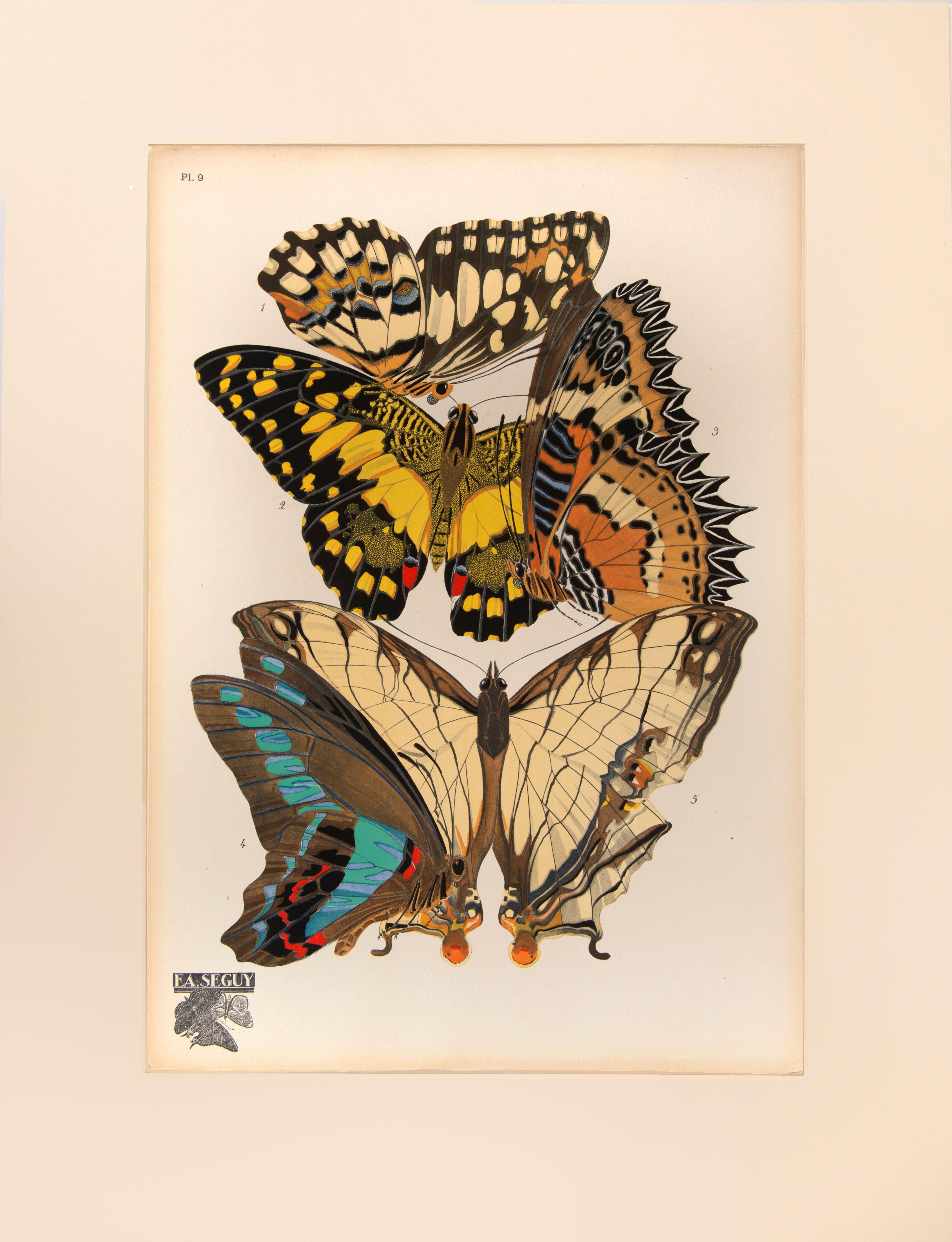Animal Print SEGUY, E[ugene] A[lain]. - Papillons