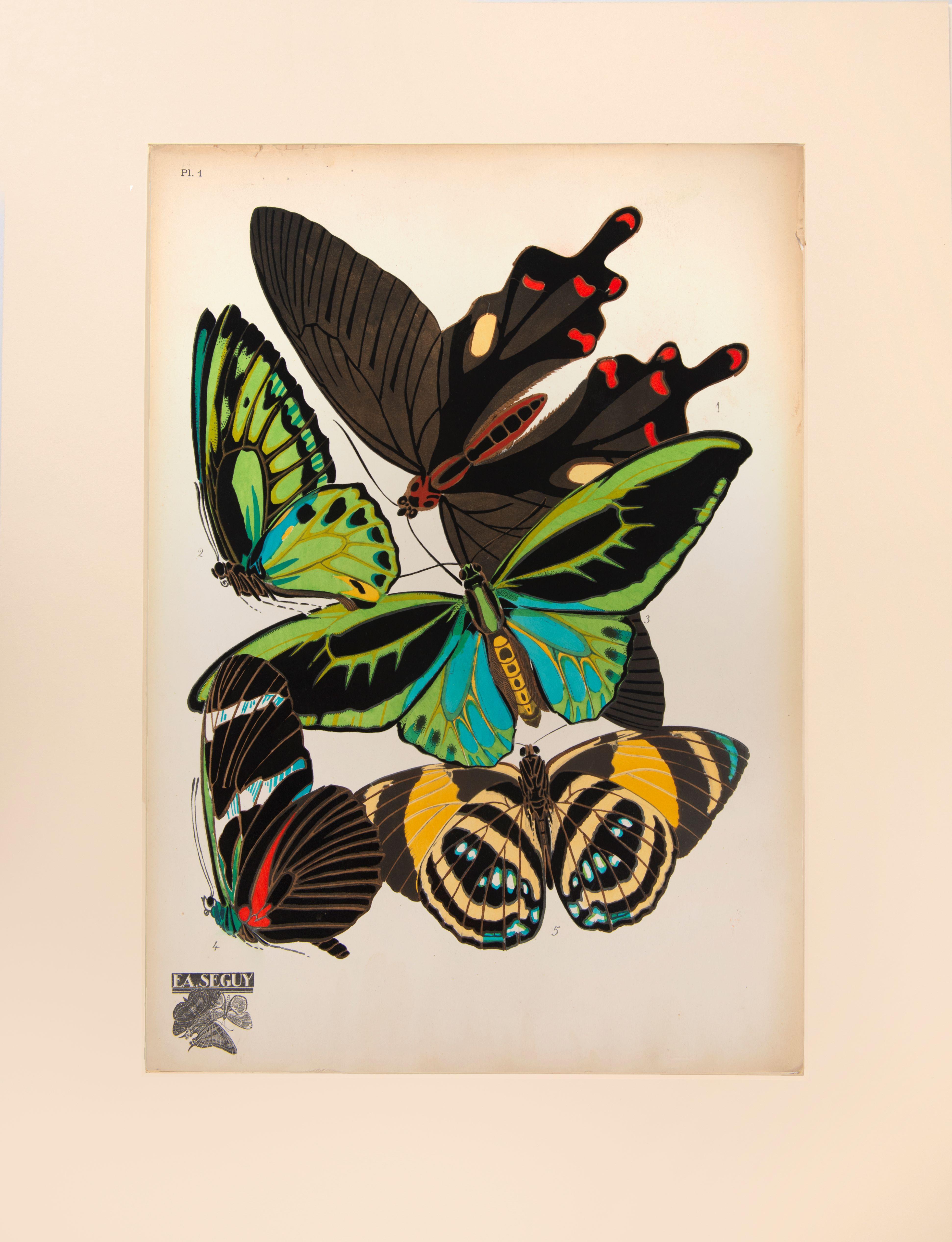 SEGUY, E[ugene] A[lain]. Animal Print - Papillons 