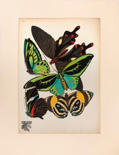 Papillons