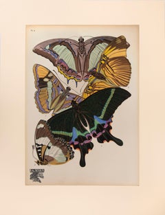Papillons