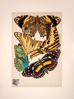 Papillons