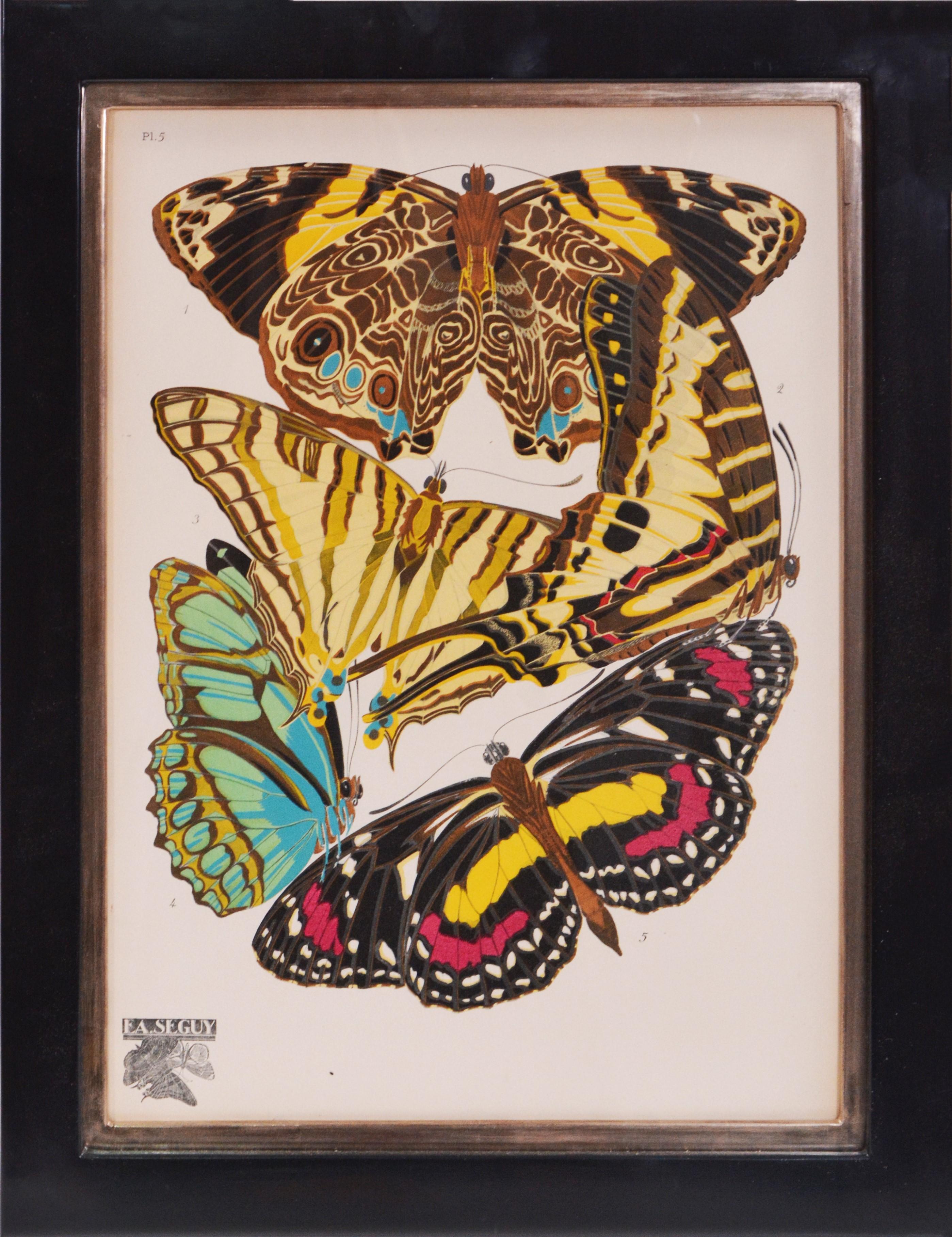 SEGUY. A Group of Six Papillons. Lithographs en pochoir. - Art Deco Print by SEGUY, E[ugene] A[lain].