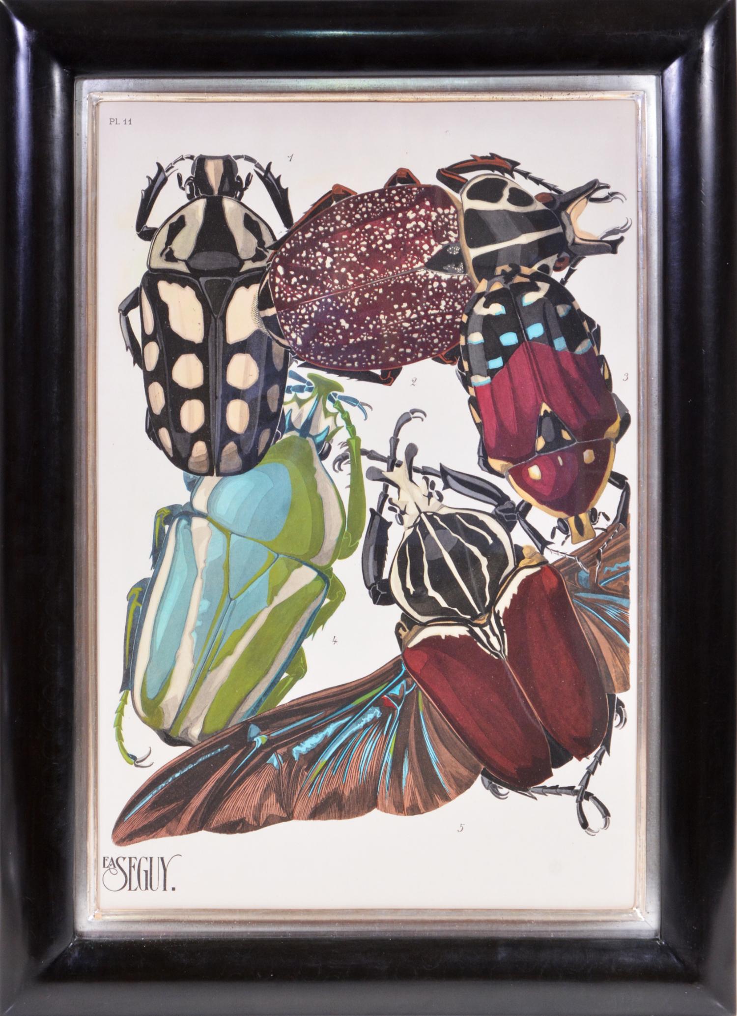 SEGUY. Insectes: A Group of Six Lithographs - Art Deco Print by SEGUY, E[ugene] A[lain].